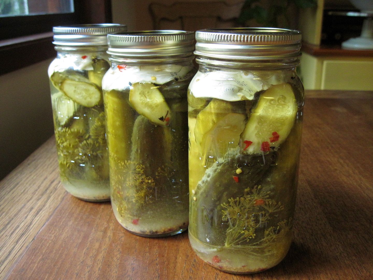 The Canadian Food Experience Project Experimental LactoFermented Dill
